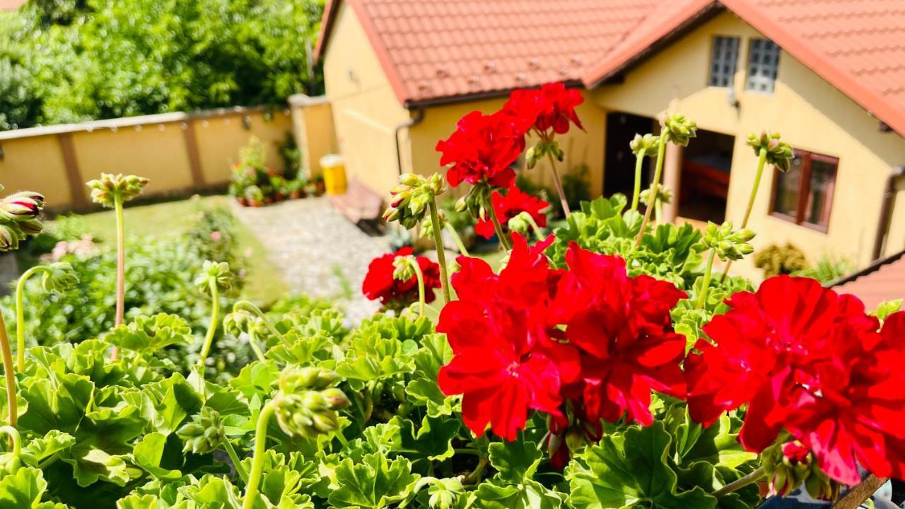 Leto House Lejlighed Târgu Jiu Eksteriør billede
