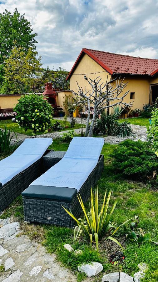 Leto House Lejlighed Târgu Jiu Eksteriør billede